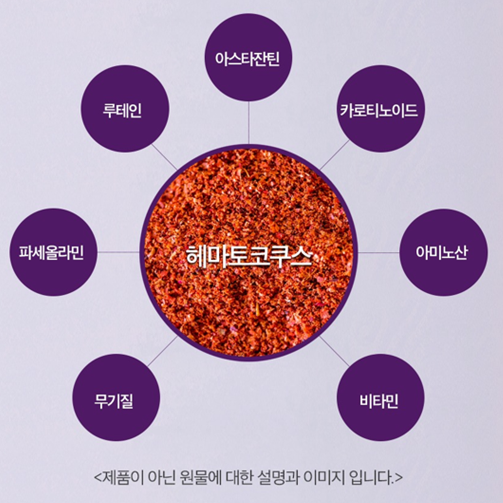 한결다움 차즈기 빌베리 헤마토코쿠스 추출물 정 60정 3박스 6개월 루테올린 눈 건강 효능 이미지 6