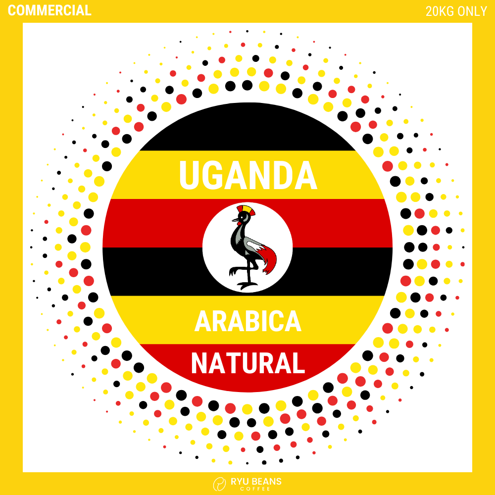 우간다 품바 아라비카 내추럴