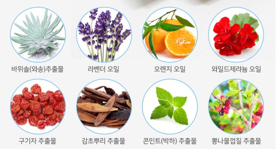 설와송 와송 샴푸 500ml 1개 이미지 7