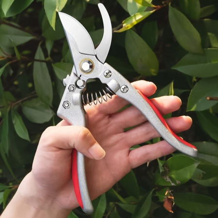 Mareike tools Co., Ltd. / 주식회사 트리 SL75889 나무 화초 전정 가지치기 원예 전지가위
