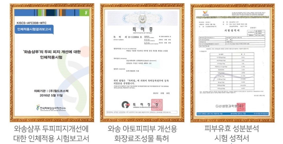 설와송 와송 샴푸 500ml 1개 이미지 6