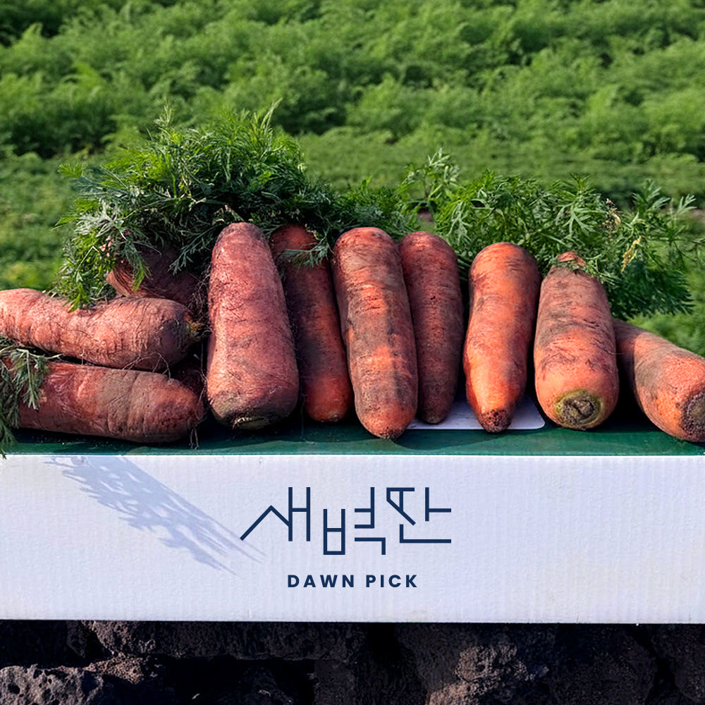 제주 구좌 흙당근 비세척 햇당근 강원도