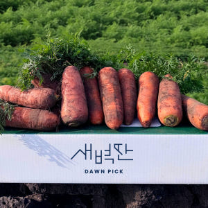 제주 구좌 비세척 흙당근 맛있게 먹은 솔직 후기 - 상품 이미지 1
