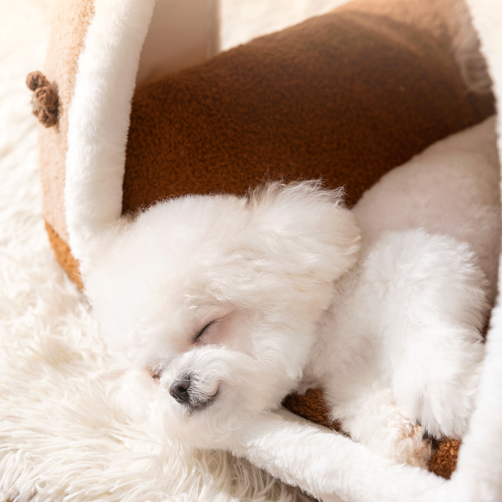 고양이 숨숨집 강아지 하우스 애견 동굴집 침대 텐트 곰돌이하우스 소형