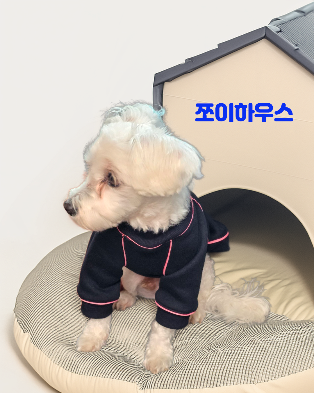 반려견 하네스 일체형 기모 맨투맨 네이비 핑크 그레이 라임 배색 D링 포근한 겨울 강아지옷 - 상세 이미지 4
