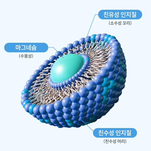 리포바이탈 프리미엄 리포좀 마그네슘 60정 3박스 6개월 활력 신경 안정 근육 긴장 이완 이미지 7