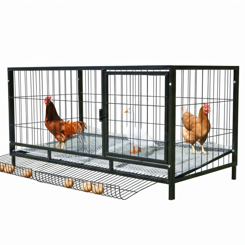 양계장 대형 닭장 사육장 케이지 병아리 닭집 새장 100x50x60 일반형 - 메인 이미지