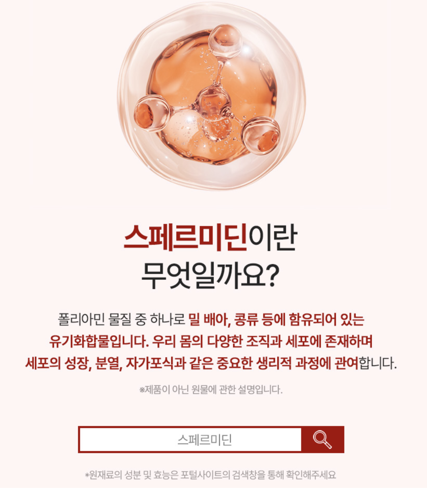 스테르미딘 Spermidine 밀배아추출물 텔로미어영양제 항노화 파이토 AMPK 이미지 7