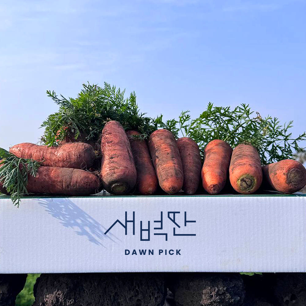 제주 구좌 흙당근 비세척 햇당근 강원도