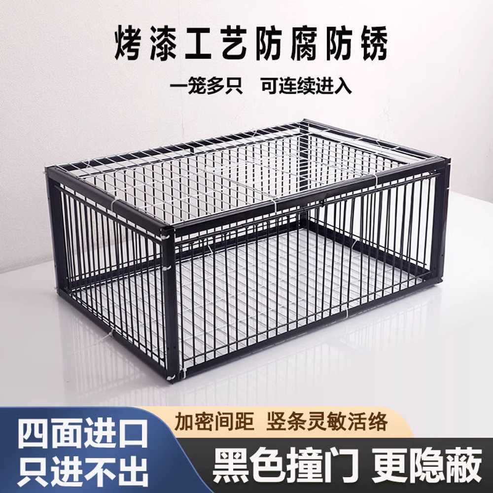 비둘기 포획틀 새장 포획망 앵무새 새덫 유해 참새 이미지 6