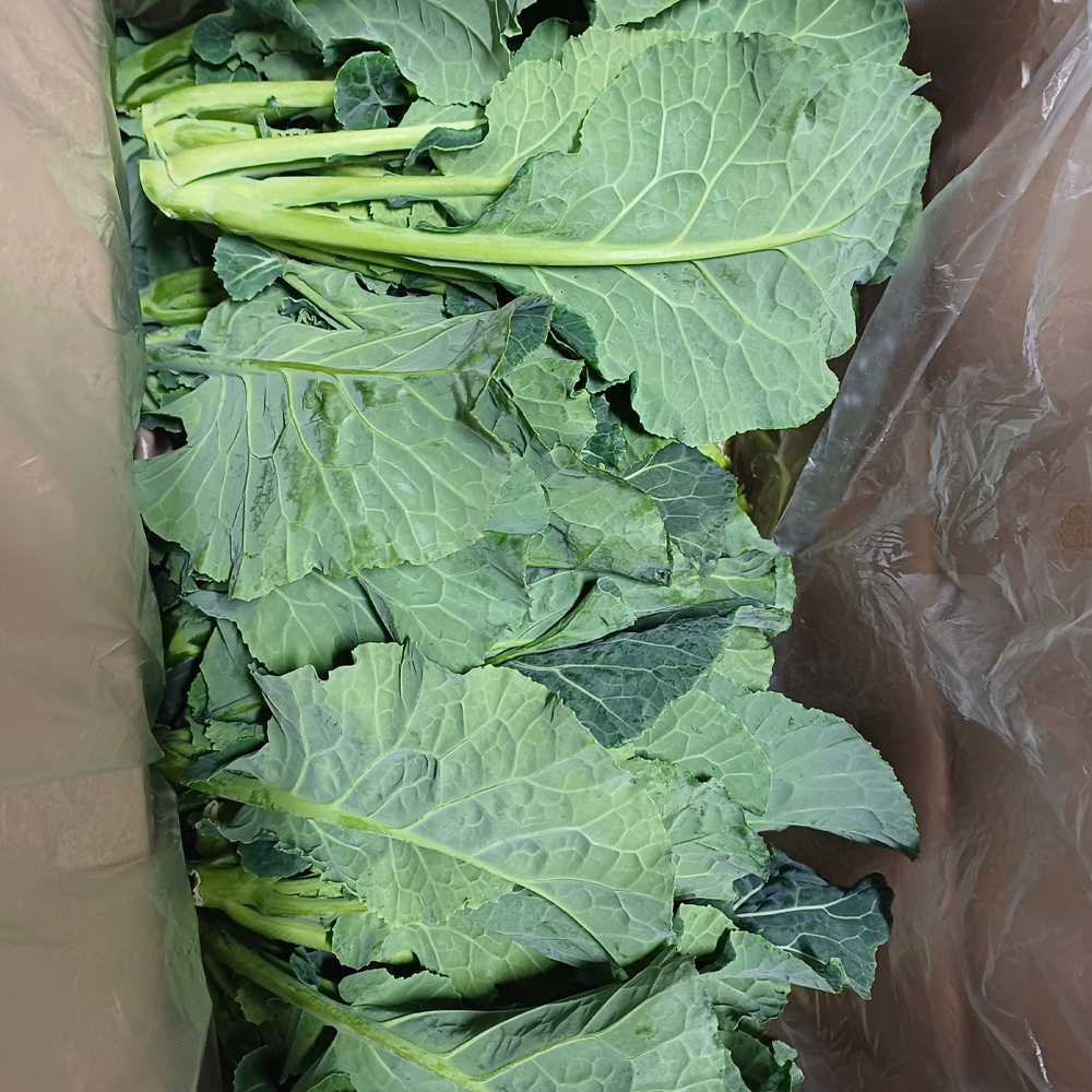 국내산 케일쫑 신선 샐러드용 케일스틱 쫑대 1kg - 상세 이미지 5