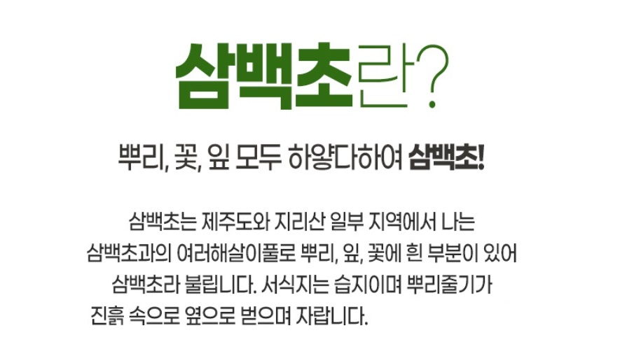 삼백초분말 삼백초 150g 2개 - 상세 이미지 5