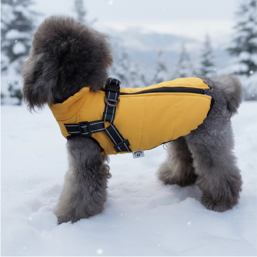 위드레오 강아지 하네스 패딩 소형견 중형견 겨울옷 오렌지, XS