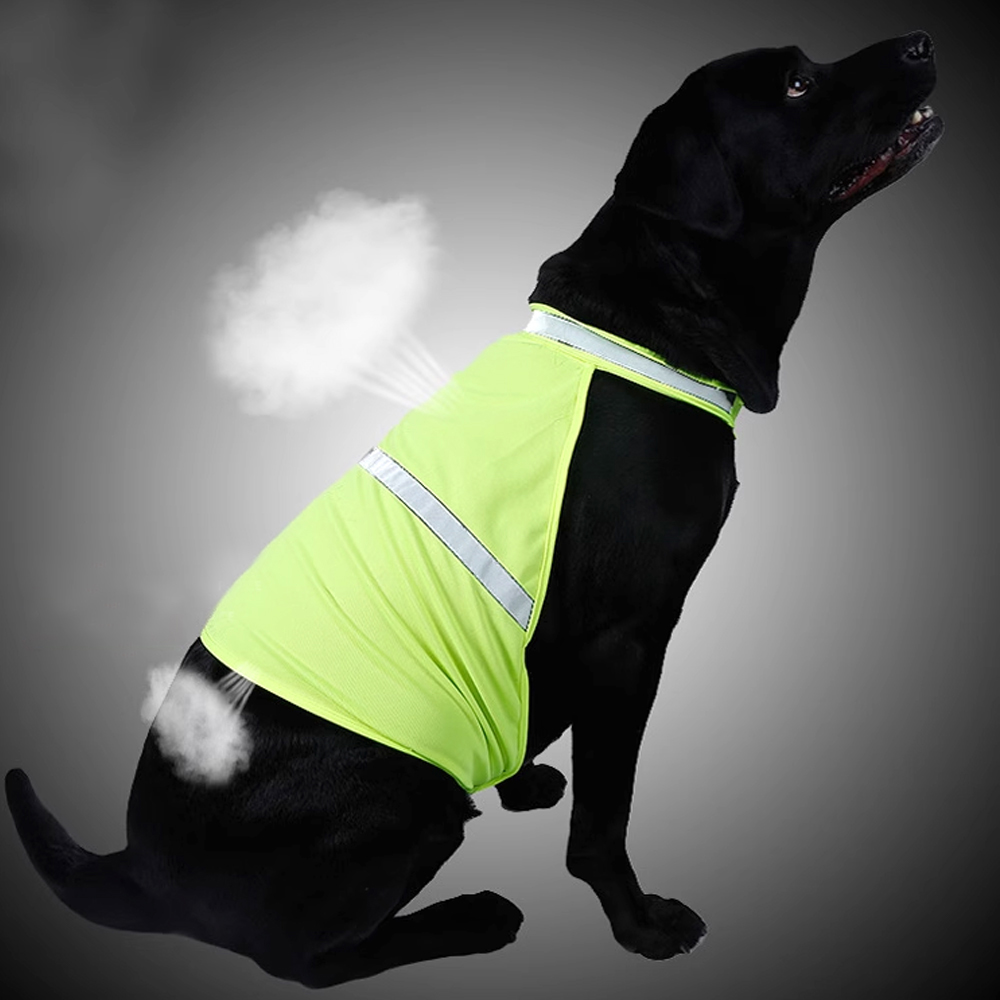 개과천선 네온 안전조끼 강아지옷 고양이옷 외출복