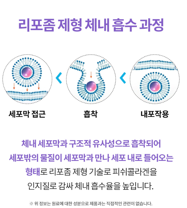 트립펩타이드콜라겐 트리펩 트리펩타이드 리포좀 - 상세 이미지 5
