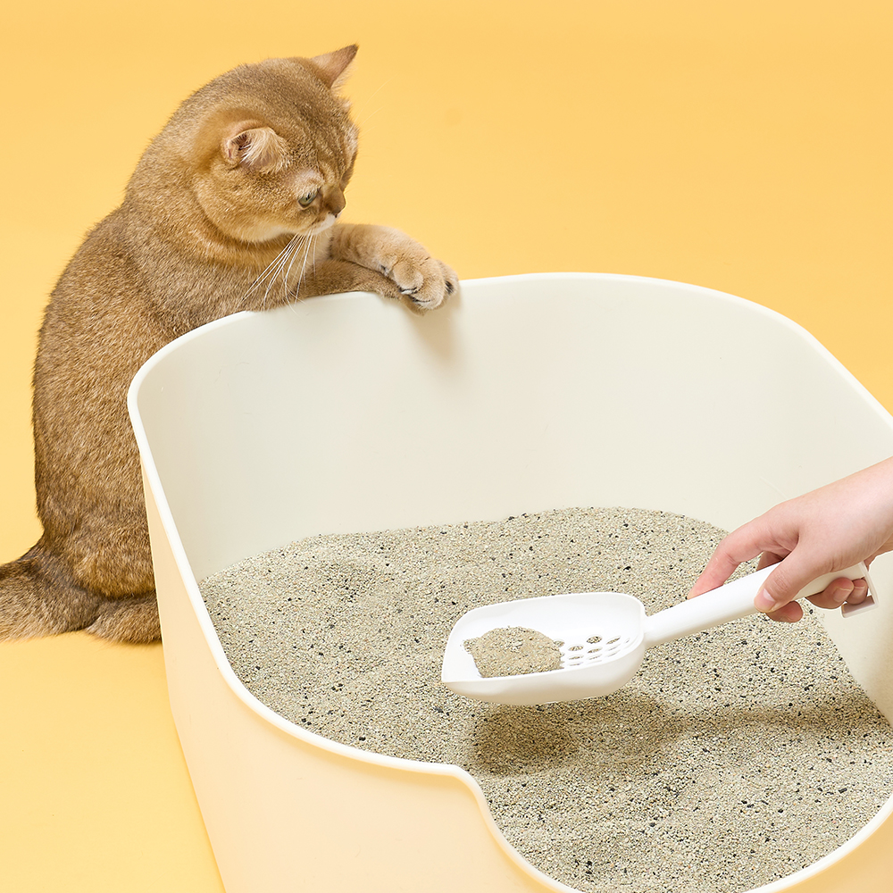 쉬즈곤 고양이모래 먼지아웃 오리지널 벤토나이트 대용량 무향 9.1kg, 1개 이미지 6