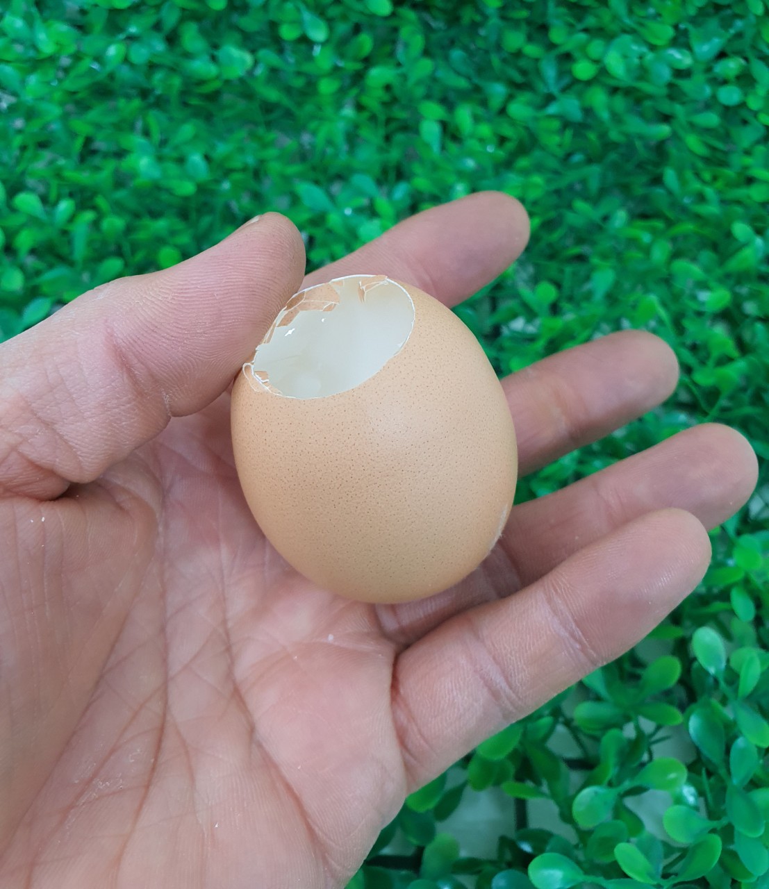 진짜같은 계란 에그 주물럭 스트레스볼 모찌 말랑이 쫀득 모찌 크리스마스 선물 마니또 쓸데없는