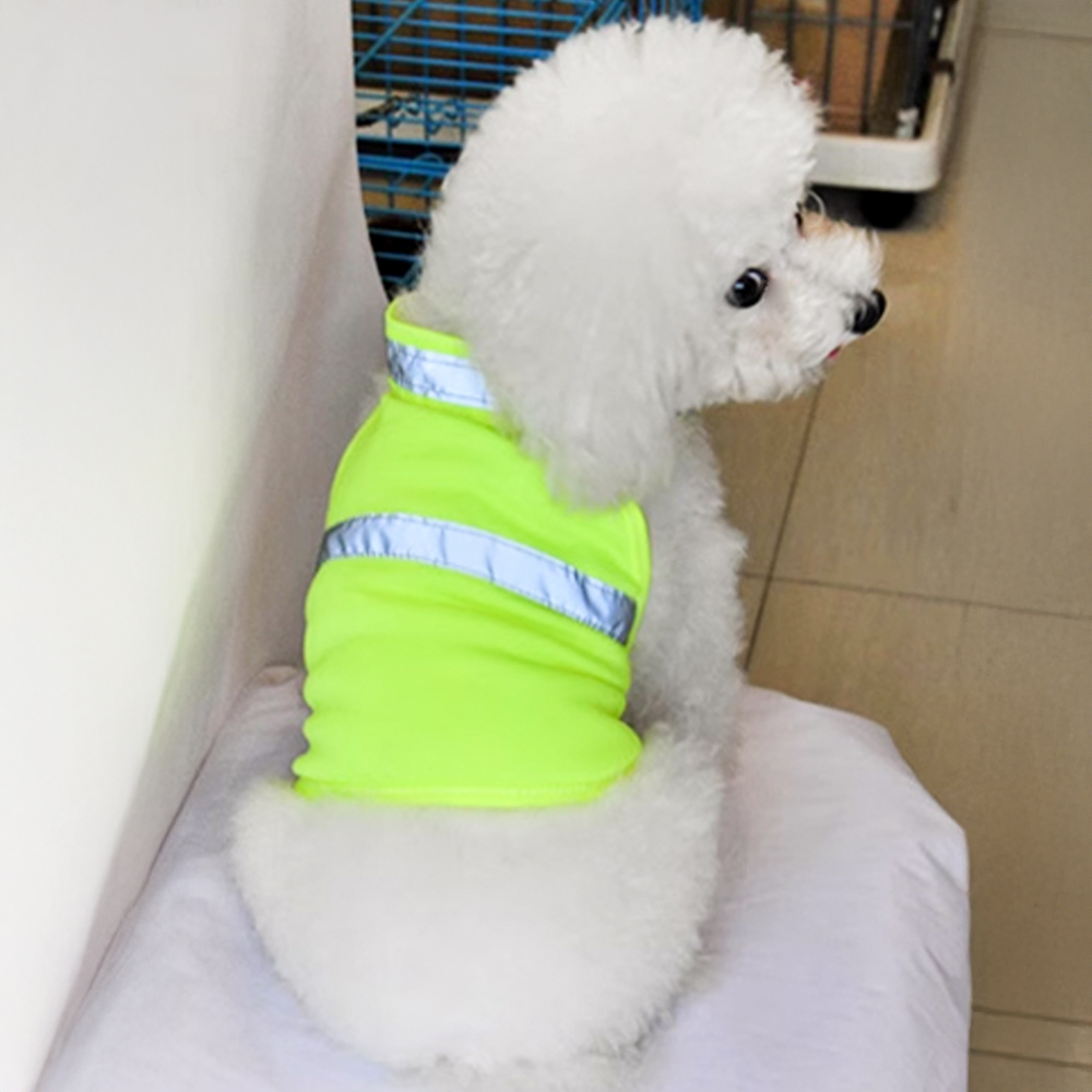 개과천선 네온 안전조끼 강아지옷 고양이옷 외출복