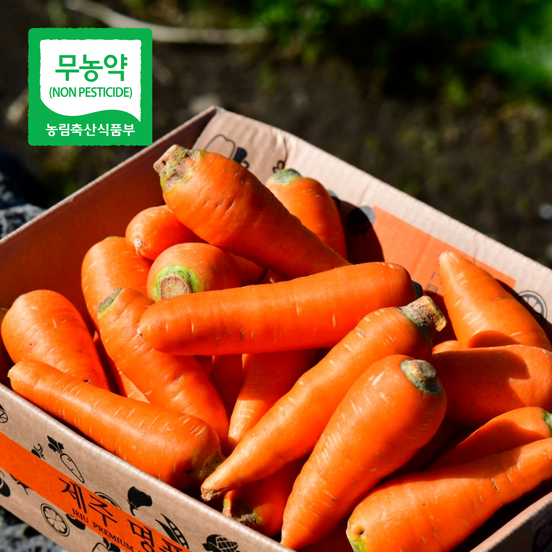제주 무농약 세척 당근 스낵용 주스용 구좌당근 소, 3kg, 1개 - 상품 이미지
