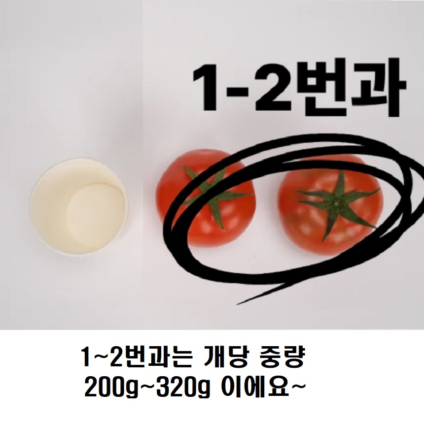 논산 완숙 토마토 유럽종 로얄과 2kg - 상세 이미지 2