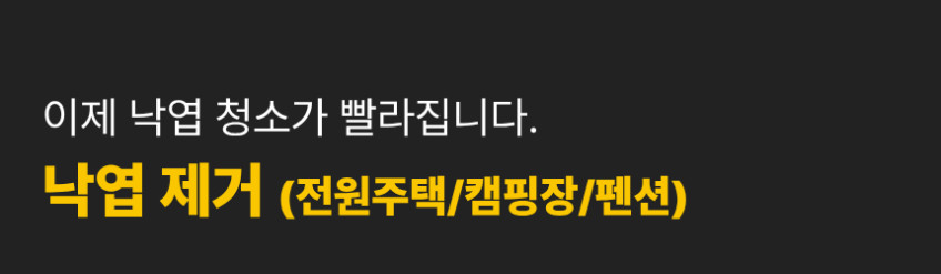 효자 무선 송풍기 42V 프리미엄 대포 대형 전동 충전 낙엽 세차 제설 블로워 브로워 눈치우는기계 낙엽청소기 제설기 판매처 상세 정보 이미지 3