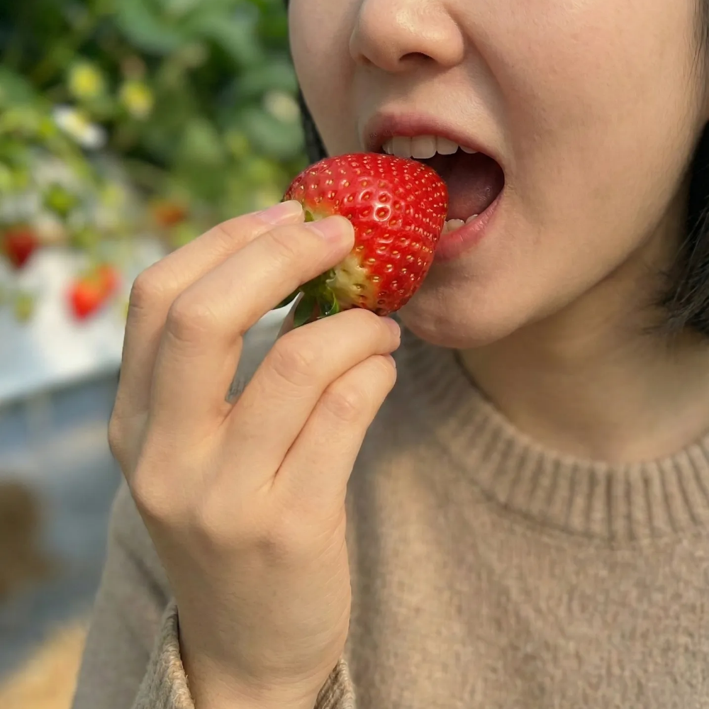 논산 설향 딸기 700g 고당도 제철 과일 산지직송 당일수확 선물용 - 상세 이미지 3