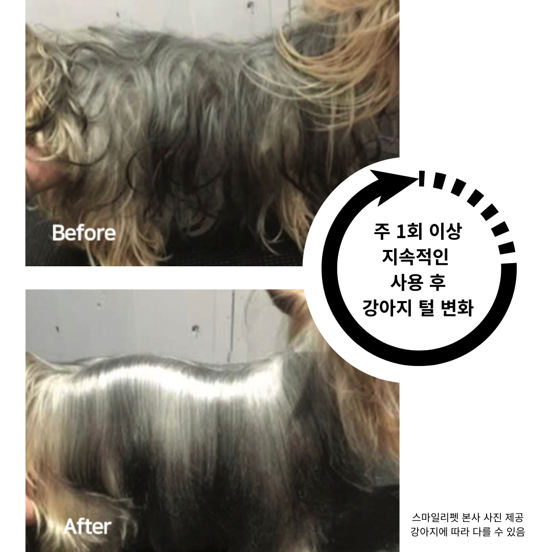 [⏰한정수량] [유통기한 26.05] 스마일리펫 사해 미네랄머드 마스크 300g, 강이지 고양이 겸용, 저자극 천연보습 머드팩 - 상세 이미지 4