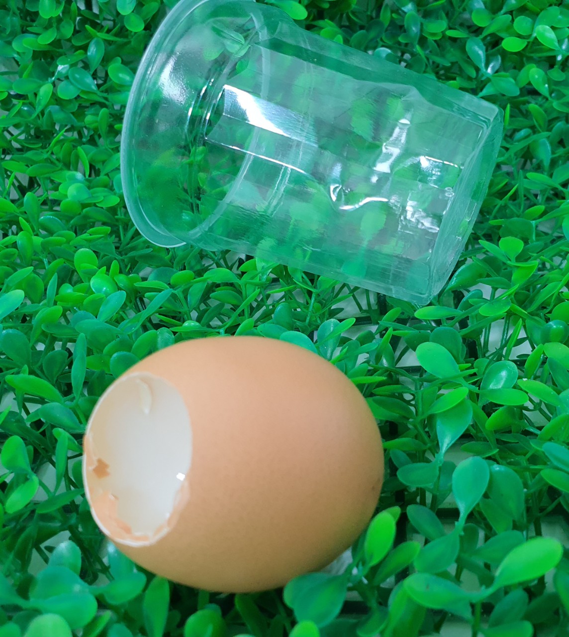 진짜같은 계란 에그 주물럭 스트레스볼 모찌 말랑이 쫀득 모찌 크리스마스 선물 마니또 쓸데없는