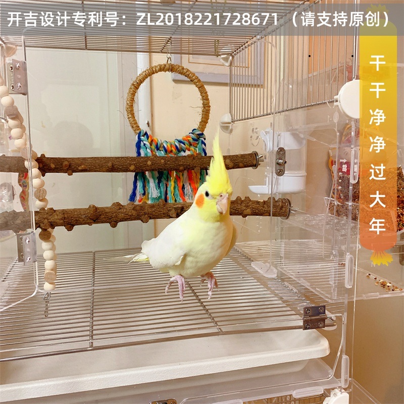 앵무새장 아크릴 방조망 왕관앵무용 통풍 2층 스텐망 비산방지 - 상세 이미지 3