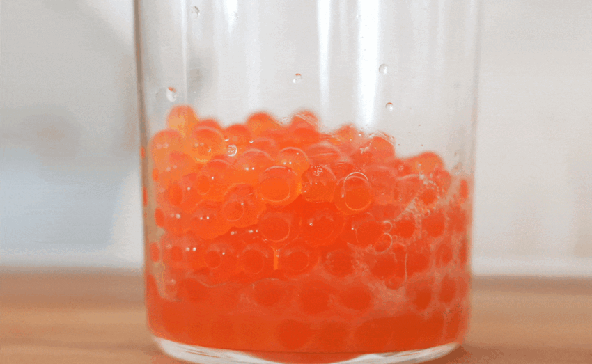 korean salmon pdrn centella bubble cleanser