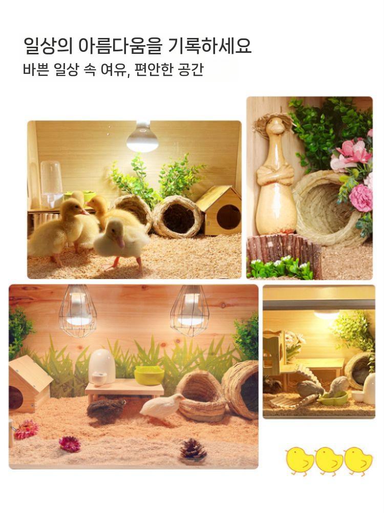 크레스티드게코 레오파드게코 사육장 렉사 양서류 집 조립식 뱀 - 상세 이미지 2