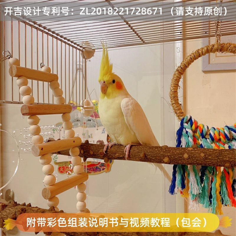 앵무새장 아크릴 방조망 왕관앵무용 통풍 2층 스텐망 비산방지 - 상세 이미지 4
