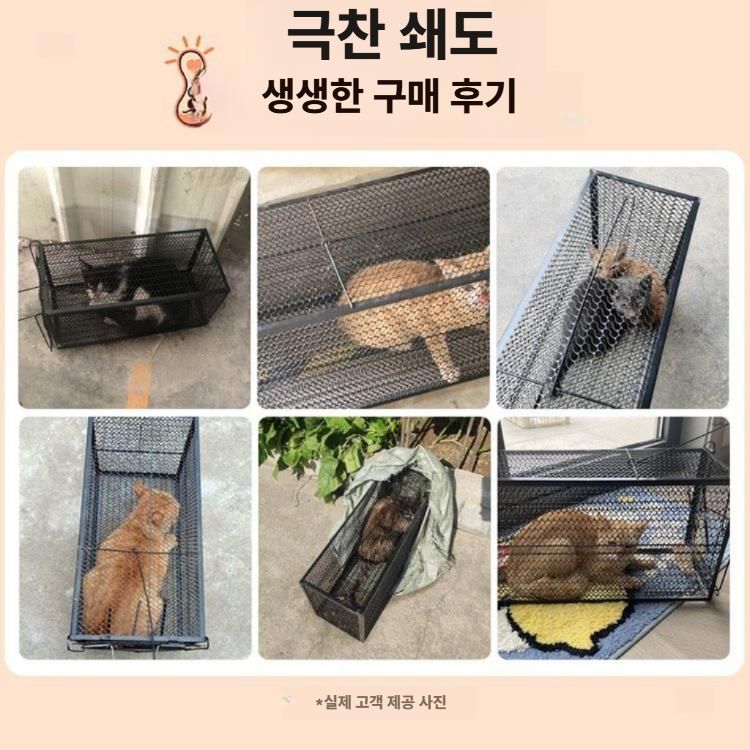 고양이 포획망 유기견 쥐 통덫 유해동물 퇴치 중형 트랩 - 상세 이미지 4