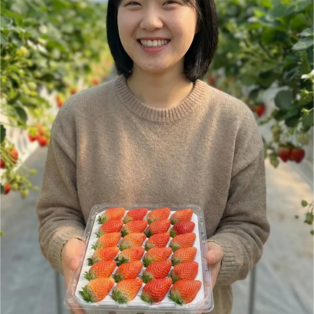 논산 설향 딸기 700g 고당도 제철 과일 산지직송 당일수확 선물용 - 상세 이미지 2