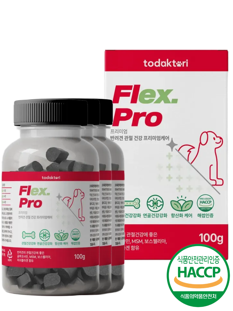 토닥토리 강아지 관절 영양제 100정 관절건강 연골관리 간식형 , 1개 100정, 3개 - 상품 이미지