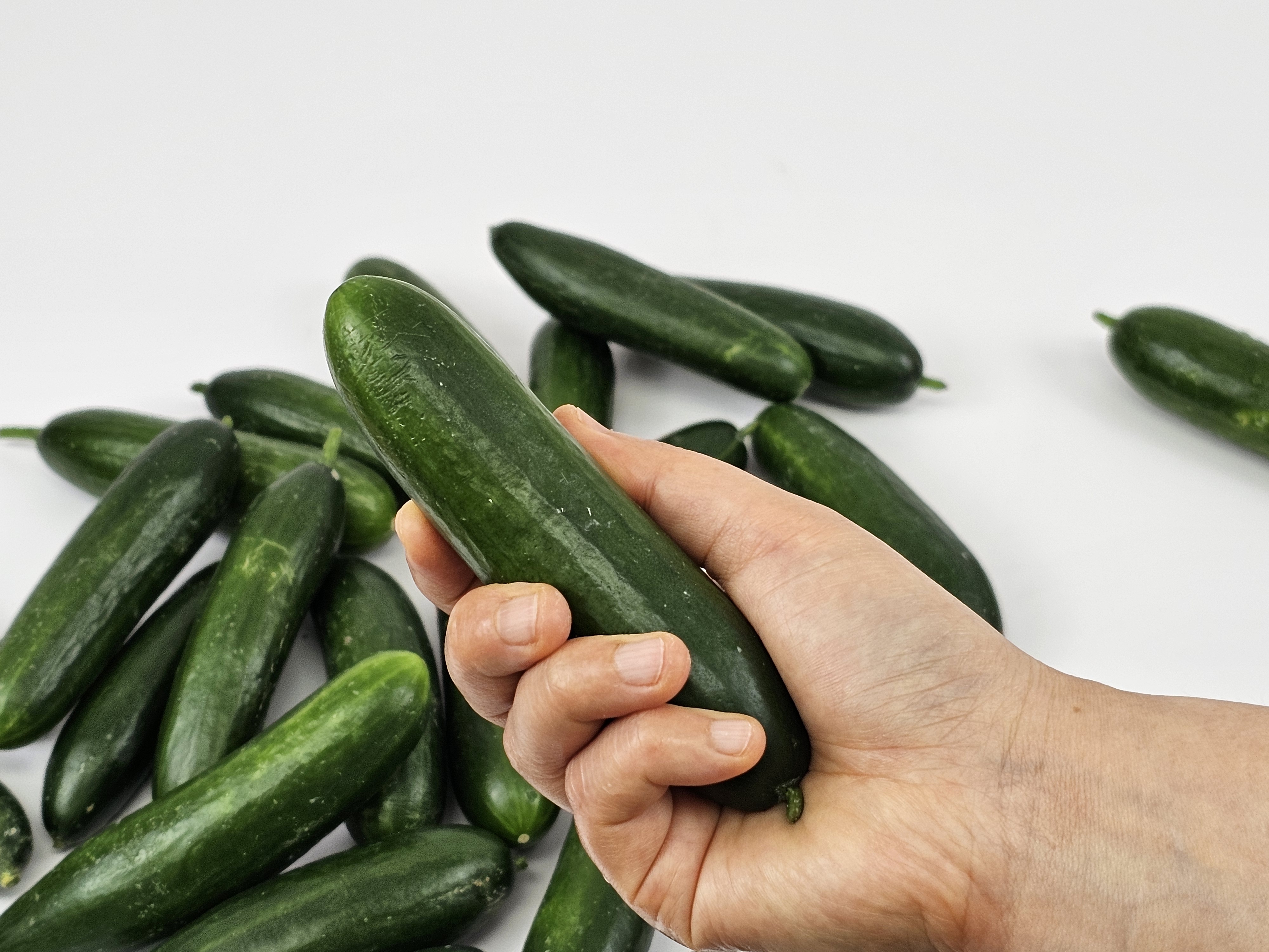 피클 장아찌용 미니 스낵 청오이 500g, 1개 - 상품 이미지