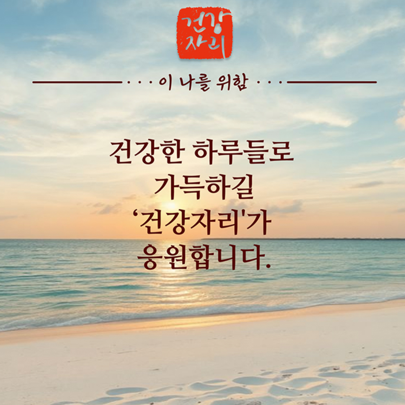발효굴추출 분말 프로바이오틱스 유산균 GABA 밀크칼슘 치커리 식이섬유 60정, 3개 - 상세 이미지 3
