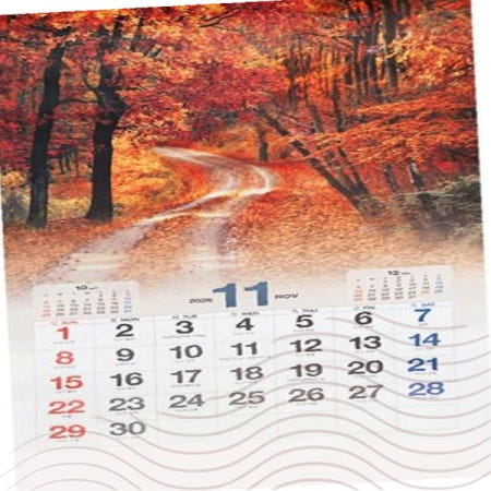 풍경 벽걸이 달력 가을단풍 숲길 사진 인테리어 캘린더 사무실 거실 벽장식