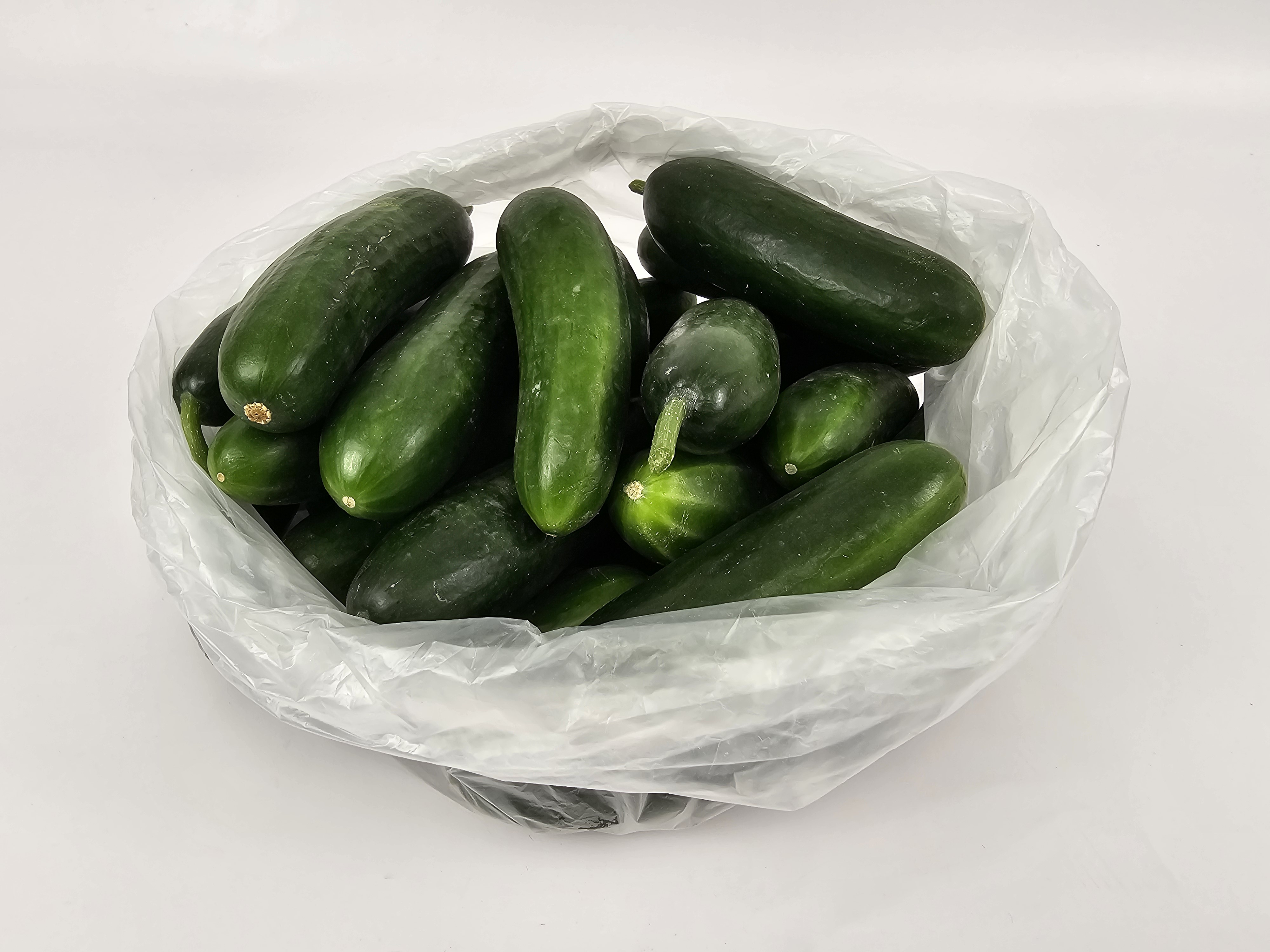 피클 장아찌용 미니 스낵 청오이 500g, 1개 - 상세 이미지 5