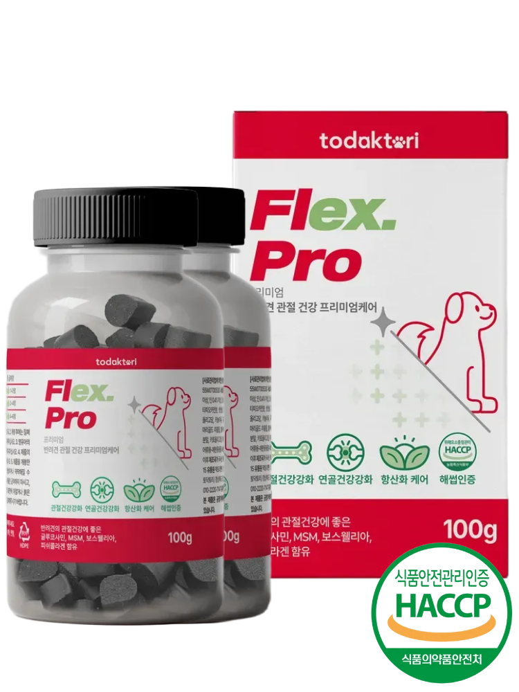 토닥토리 강아지 관절 영양제 100정 관절건강 연골관리 간식형 , 1개 100정, 2개 - 상품 이미지