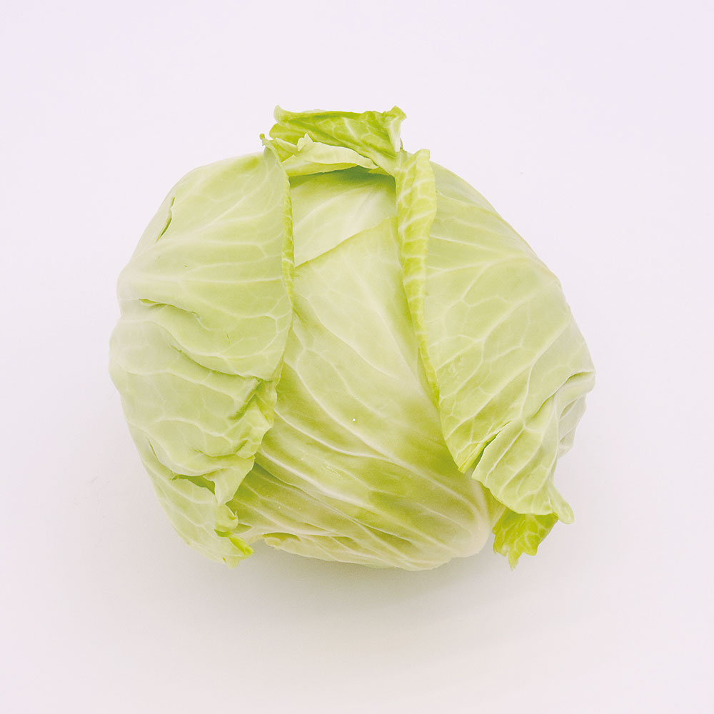 찜/샤브샤브 샐러드 샌드위치 제주 양배추 5kg, 1개 - 상세 이미지 5