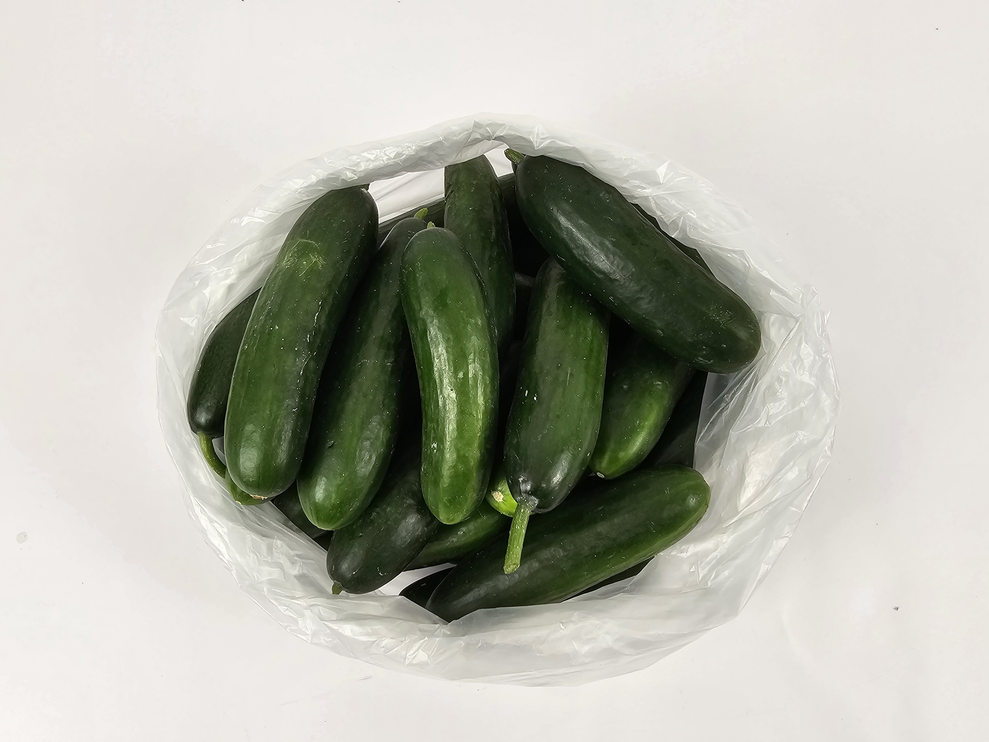 피클 장아찌용 미니 스낵 청오이 2kg, 1개 이미지 6
