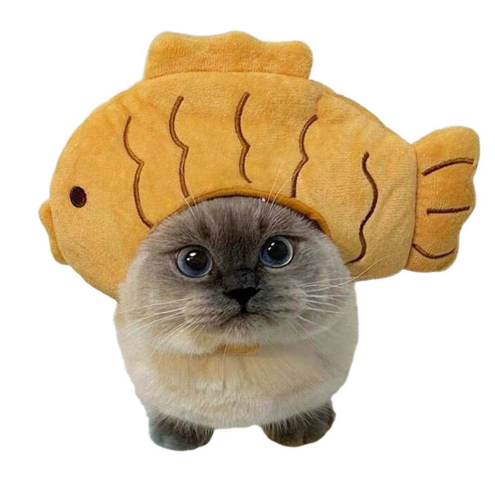 고양이 붕어빵 모자 강아지 머리띠 귀여운 펫코스튬 불곰(1.5-7.5kg) - 상품 이미지