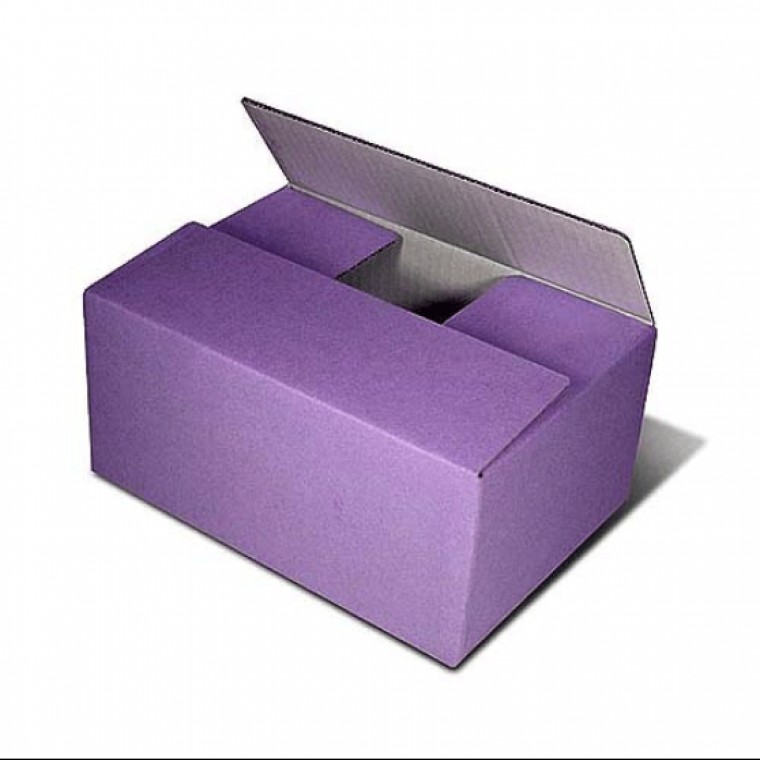 퍼플박스 B골 250X170X80mm 100개 - 메인 이미지