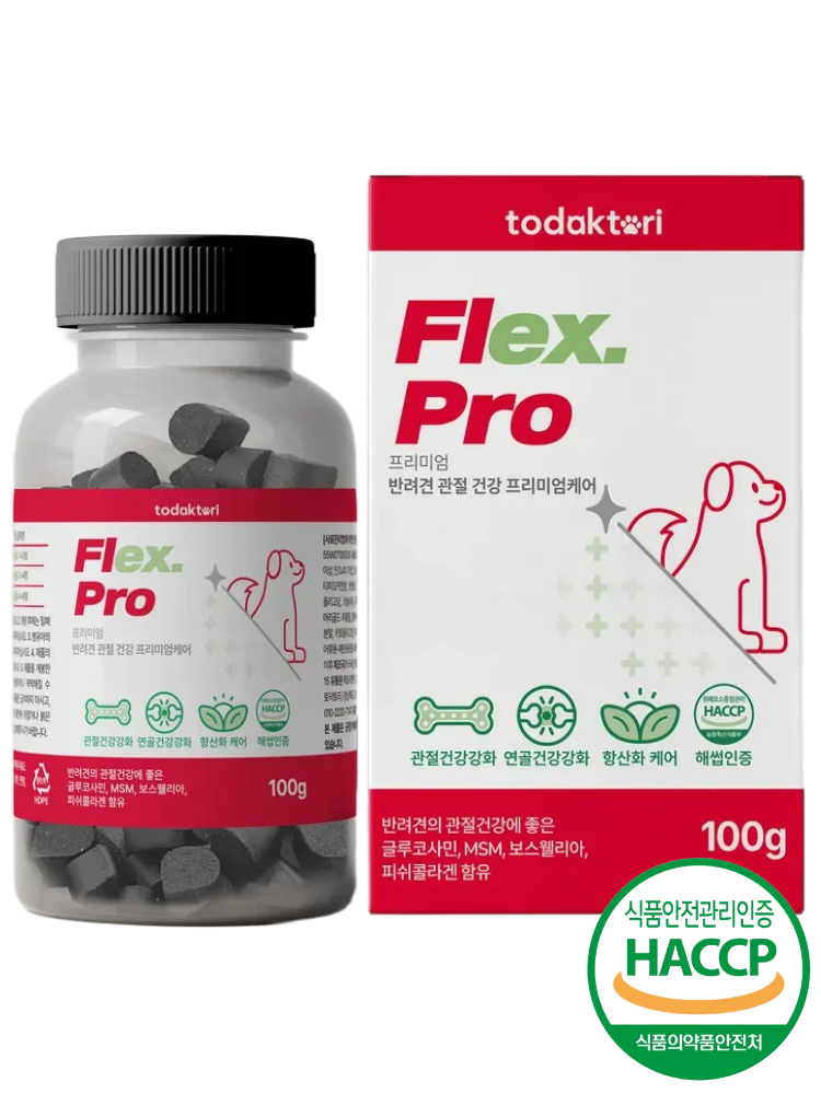 토닥토리 강아지 관절 영양제 100정 관절건강 연골관리 간식형 , 1개 100정, 1개 - 상품 이미지