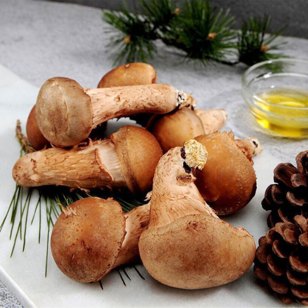 [억수로상회] 무농약 참송이 버섯 (가정용) 300g, 1개 - 상세 이미지 4