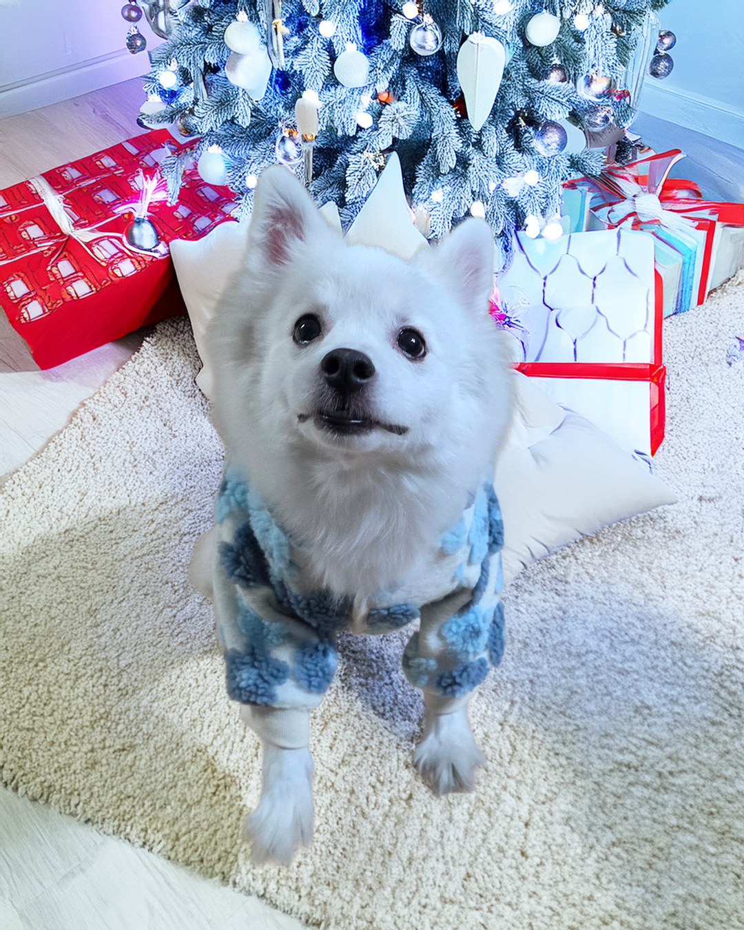 (겨울 옷) 강아지 뽀글이 후리스 점퍼 양털 퍼 자켓 강아지 코트