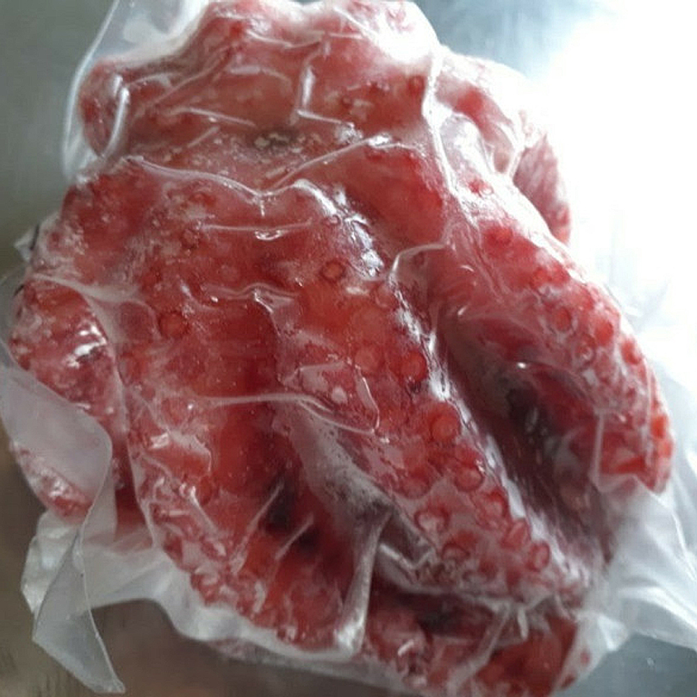 완전손질 대왕자숙문어 1.3kg이상 1미 제수용 이미지 7