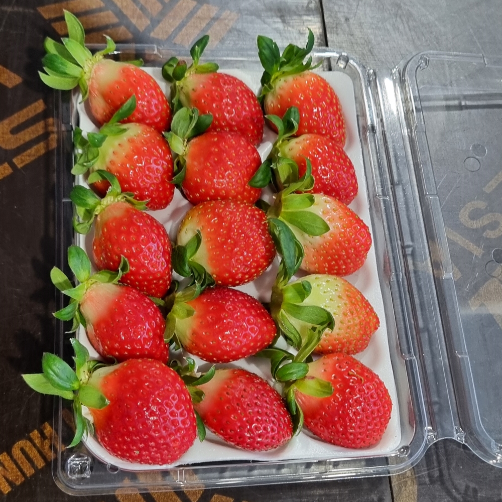 설향딸기 산지직송 프리미엄 생딸기 한입 특과 350g 이미지 6