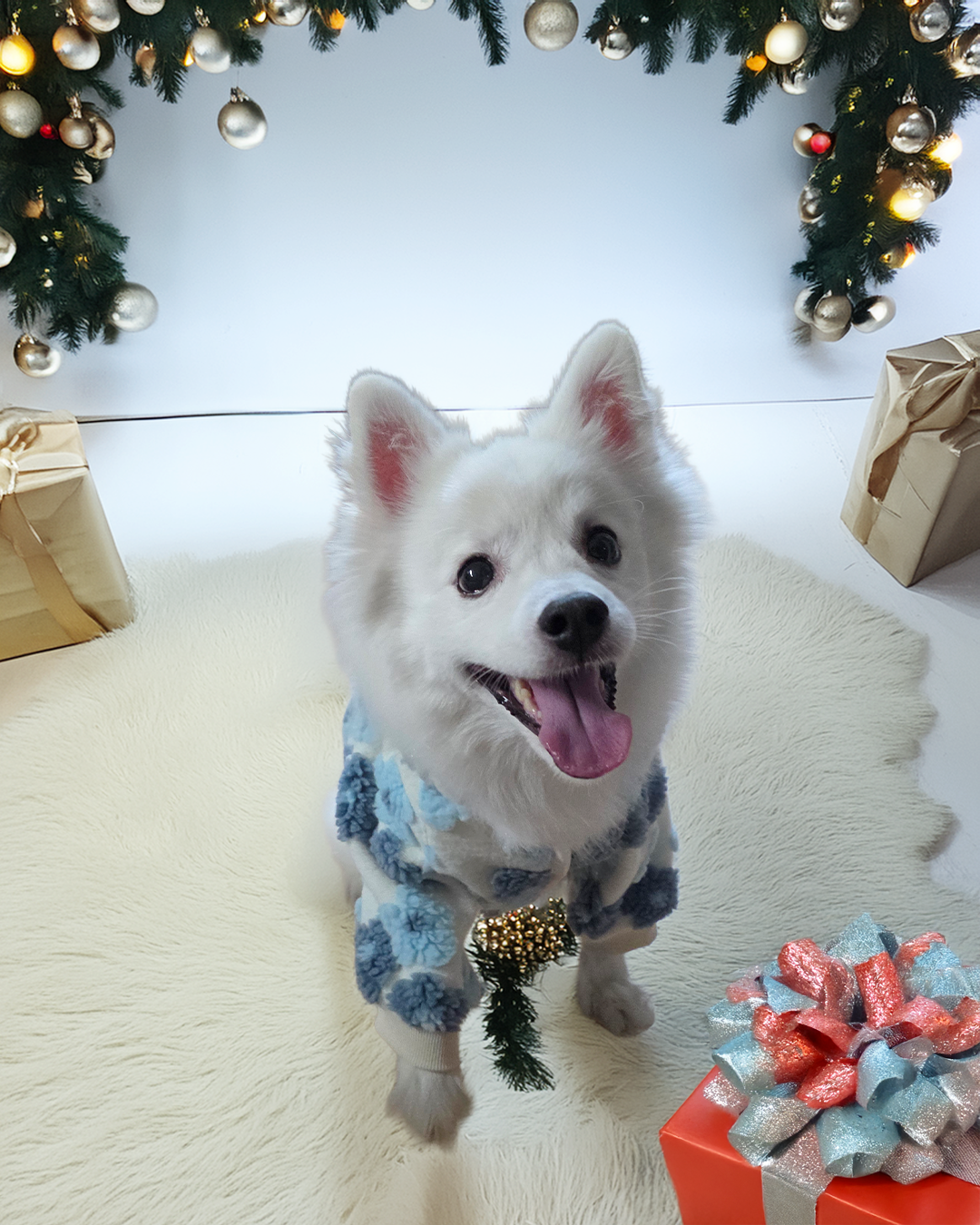 (겨울 옷) 강아지 뽀글이 후리스 점퍼 양털 퍼 자켓 강아지 코트